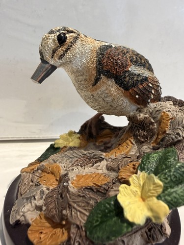 Country bird collection the - bird,