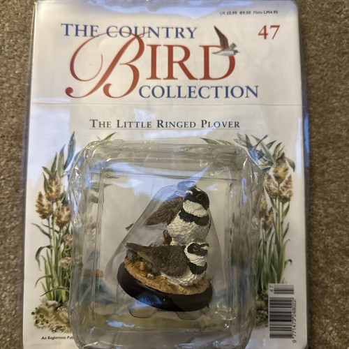 Bird collection the country - bird,