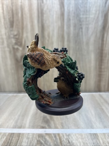 The country bird collection - bird,