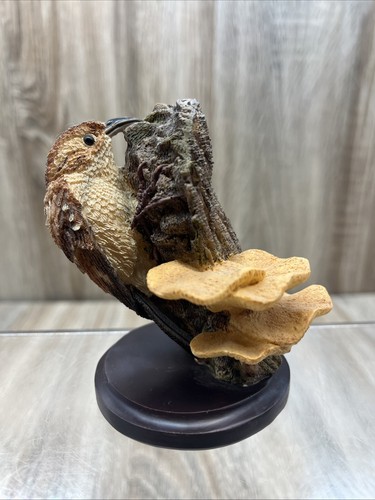 The country bird collection - country,