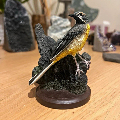 The country bird - the,