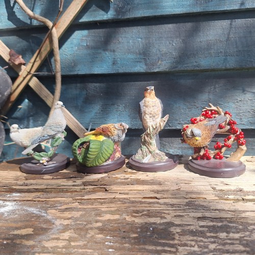 The country bird collection - country,