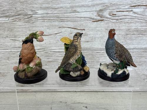The country bird - 3,