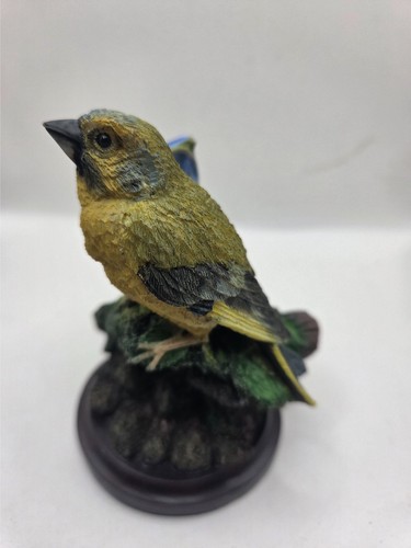 The country bird - country, collection