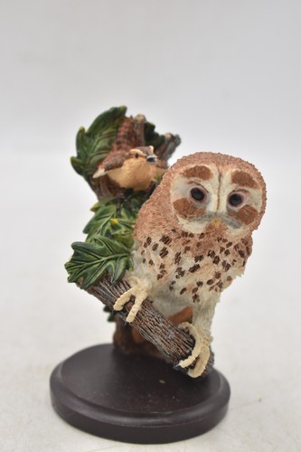 The country bird - bird, collection