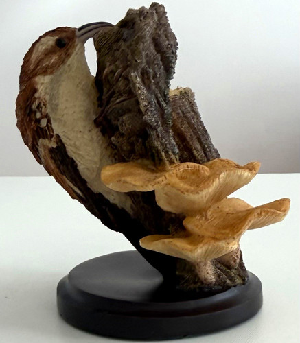 The country bird collection - the,