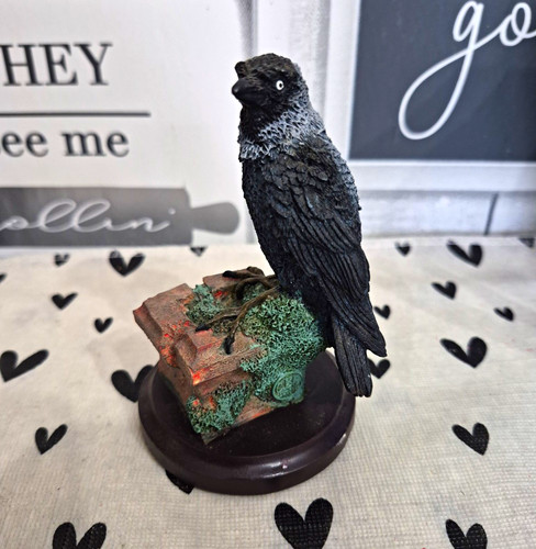 The country bird - country, collection