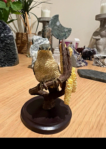 The country bird collection - the,