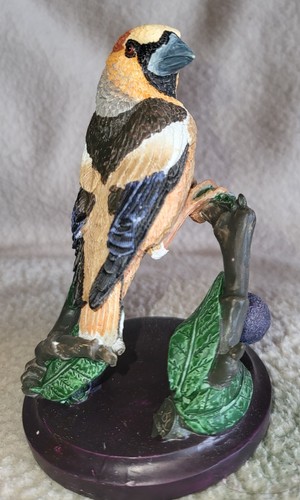 The country bird - bird, by