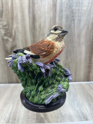 The country bird collection - the,
