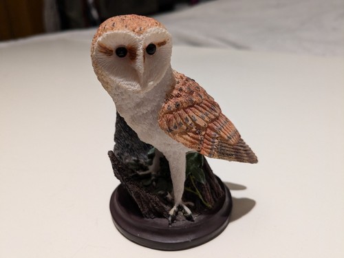 The barn owl country bird - the,