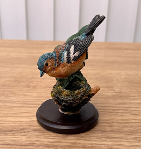 Country bird collection - country,