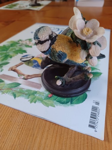 The country bird collection - bird,