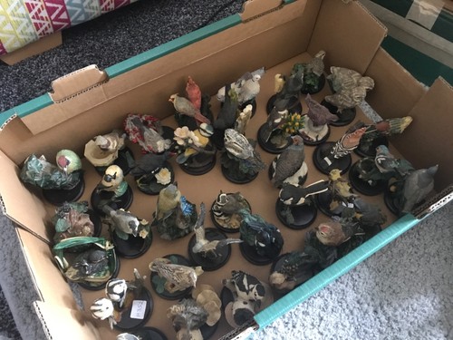 The country bird collections - the,