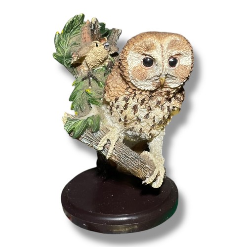 The country bird collection - bird,