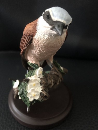 The country bird collection - country,