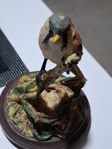 Andy pearce the country - the, bird