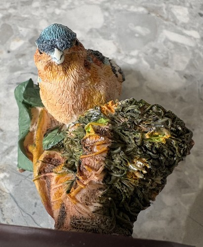 The country bird collection - country,
