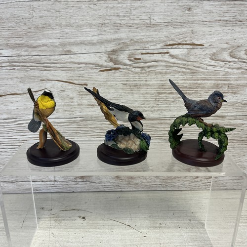 The country bird - 3,