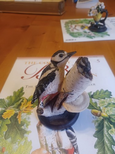The great spotted woodpecker - spotted,