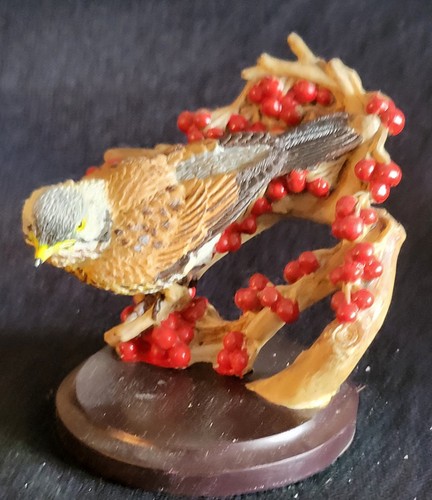 The country bird - the,