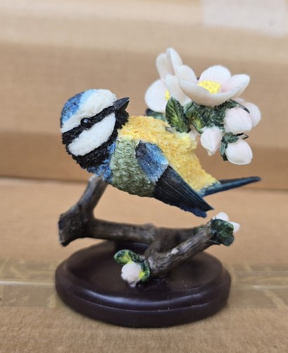 Oiseaux the country bird - oiseaux.,