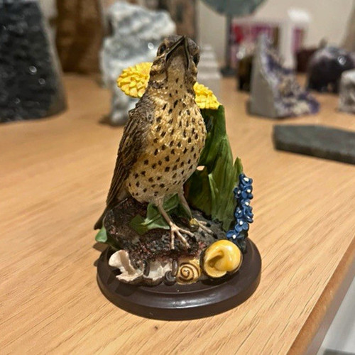 The country bird collection - country,