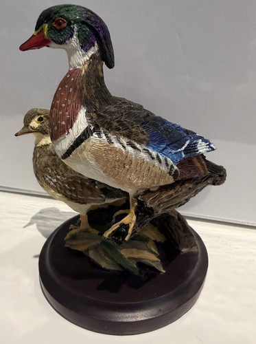 Andy pearce the country bird - the,