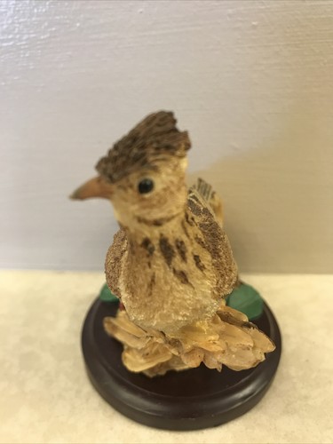 The country bird collection - bird,