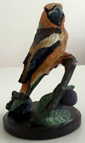 Country bird collection - country,