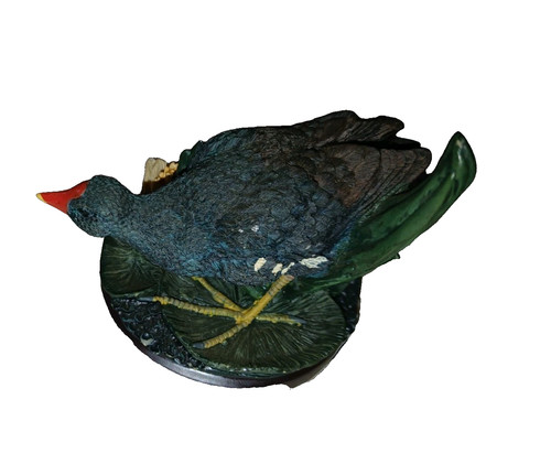 The country bird - country,