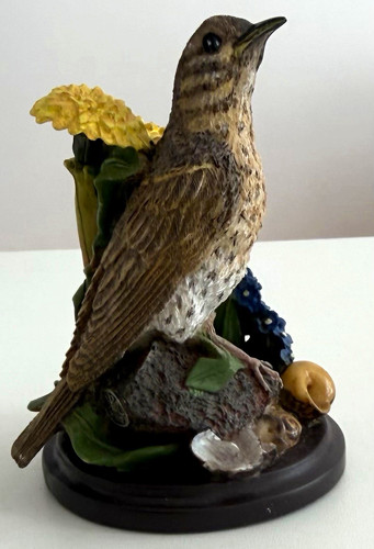 The country bird - the,