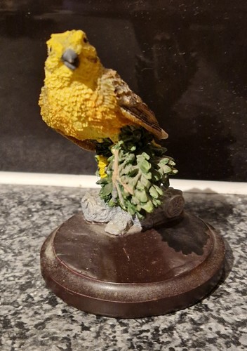 The country bird - country,