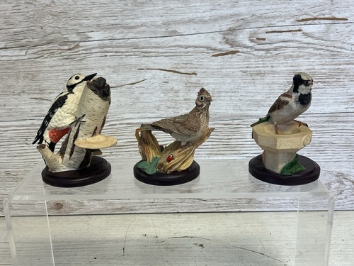 The country bird - the,