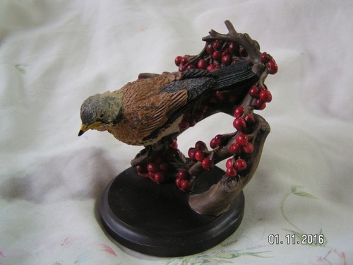 The country bird - bird, collection