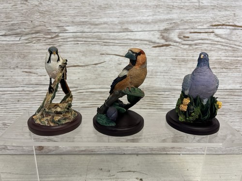 The country bird - 3, x
