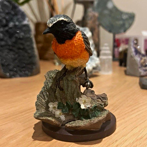 Eaglemoss the country - the, bird