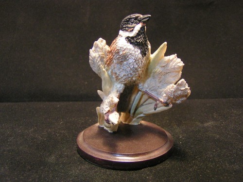 The country bird collection - the,