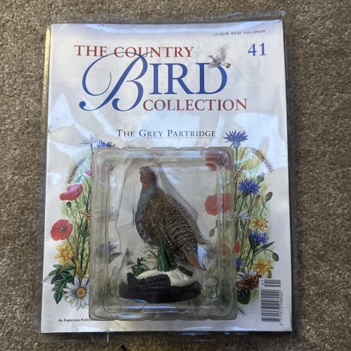 Bird collection the country - bird,