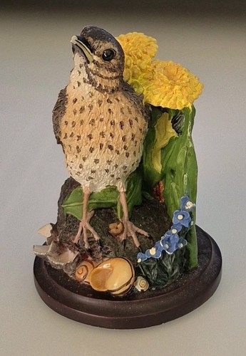 The country bird collection - the,