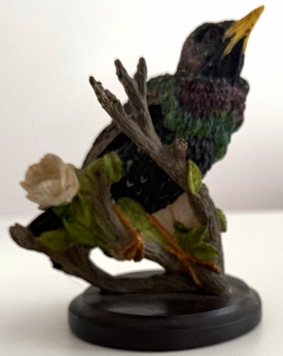 The country bird collection - the,