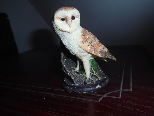 Barn owl the - barn,