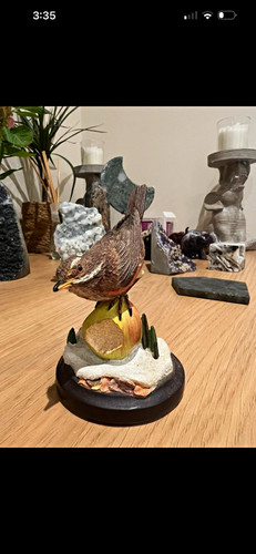 The country bird collection - country,