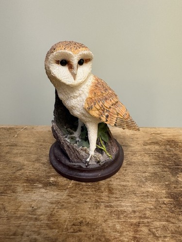 Barn owl the country - barn, bird