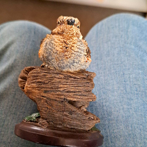 The country bird - country, collection