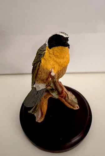 Country bird collection - bird, the