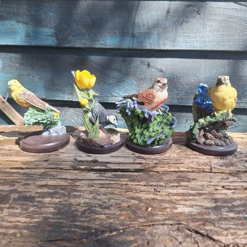 The country bird - country,