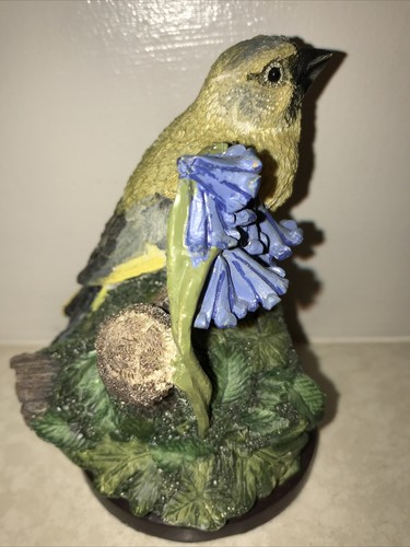 Country bird collection - bird,