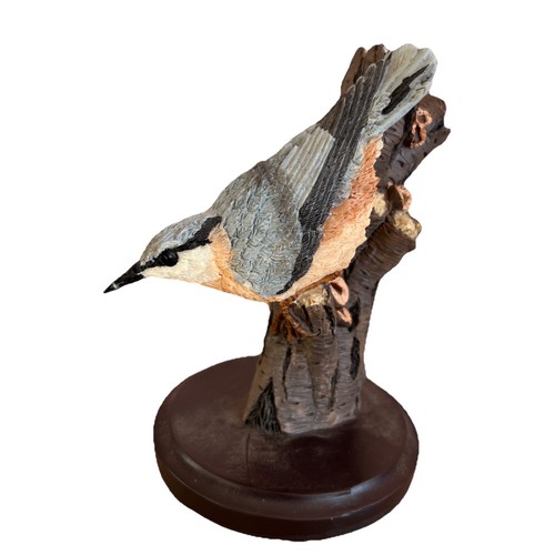 Nuthatch the country bird - the,