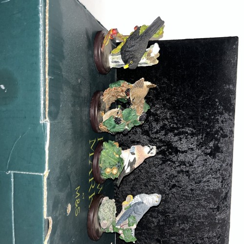 The country bird - bird, collection